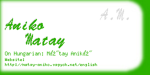 aniko matay business card